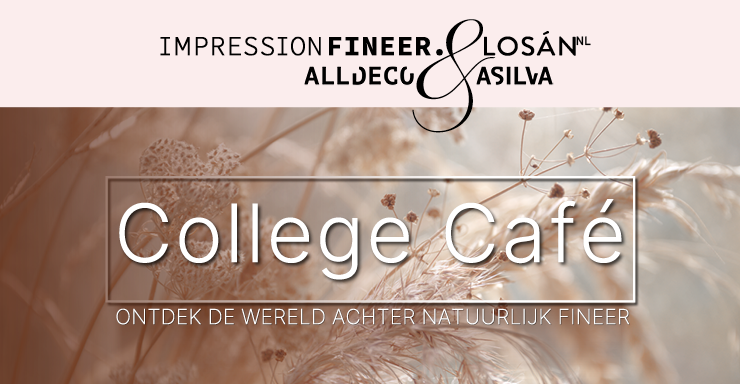 Nieuwsbericht-College_Cafe-740x384px_1.png